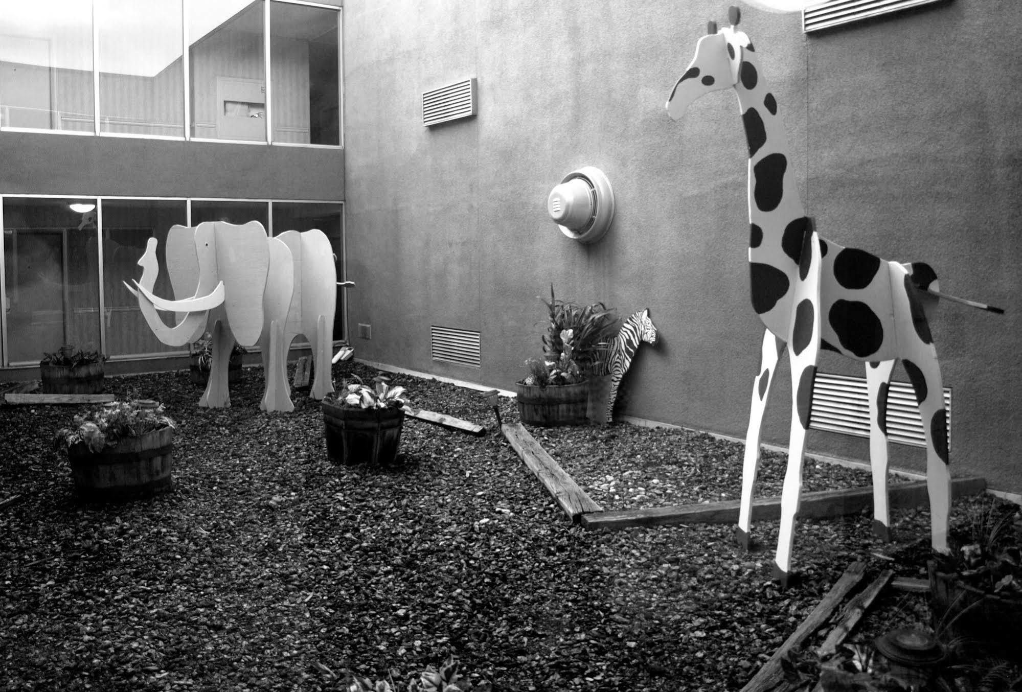 Safari Inn Downtown Boise Eksteriør bilde